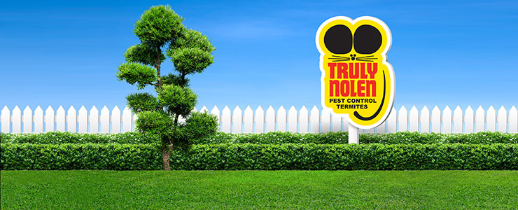 Lawn Care Pest Control Banner